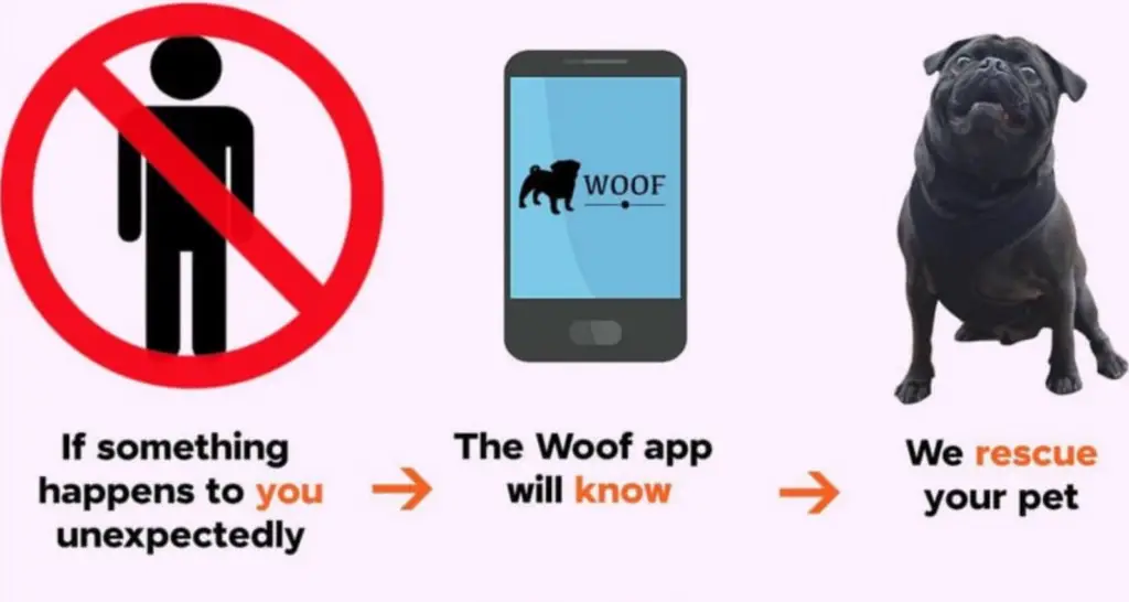 How Does Woof App Work?