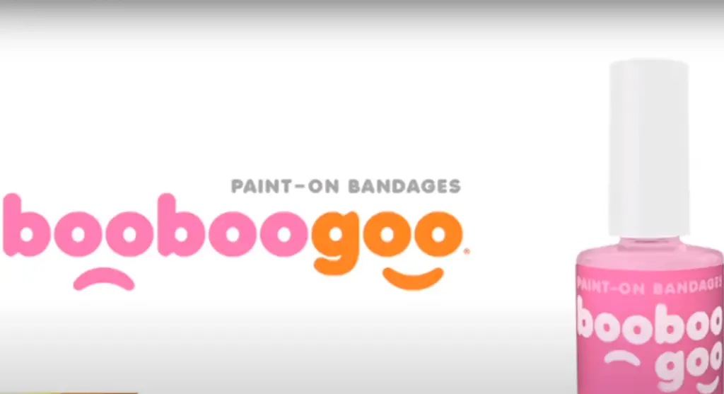 The Net Worth Of BooBoo Goo