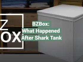 BZBox: What Happened After Shark Tank
