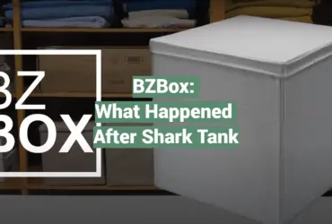 BZBox: What Happened After Shark Tank