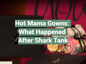 Hot Mama Gowns: What Happened After Shark Tank