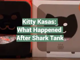 Kitty Kasas: What Happened After Shark Tank