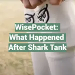 WisePocket: What Happened After Shark Tank