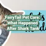 FairyTail Pet Care: What Happened After Shark Tank