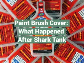 Paint Brush Cover: What Happened After Shark Tank