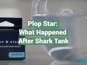 Plop Star: What Happened After Shark Tank