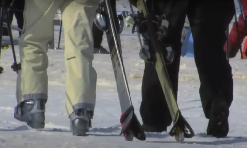 The Net Worth Of Ski-Z Ski Carrier