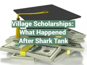 Village Scholarships: What Happened After Shark Tank