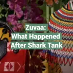 Zuvaa: What Happened After Shark Tank